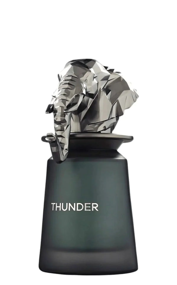 French Avenue Thunder Extrait Eau De Parfum 100ml For Man